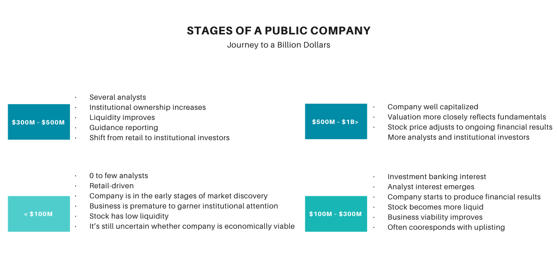 Navigating the Growth Stages of Public Companies: Insights for Strategic Investors